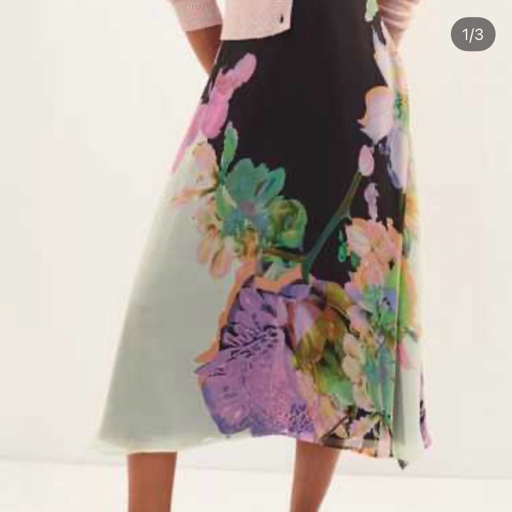 Anthropologie Floral A-Line Skirt - Black and Multicolor